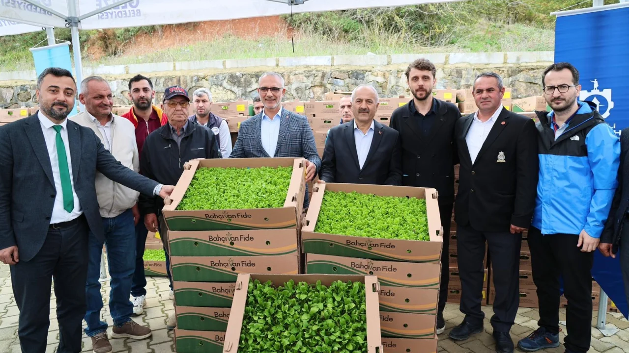 Gebze'de sebze fideler dağıtıldı