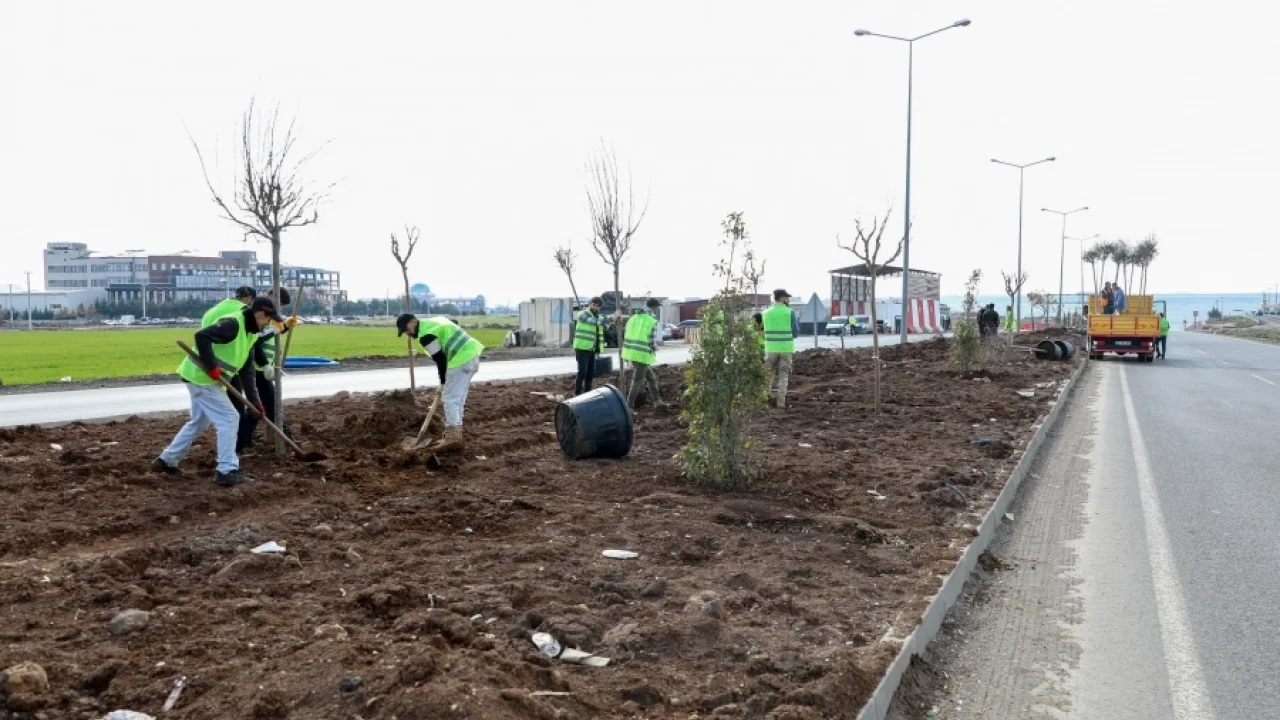 Mardin yoluna yeşil dokunuş