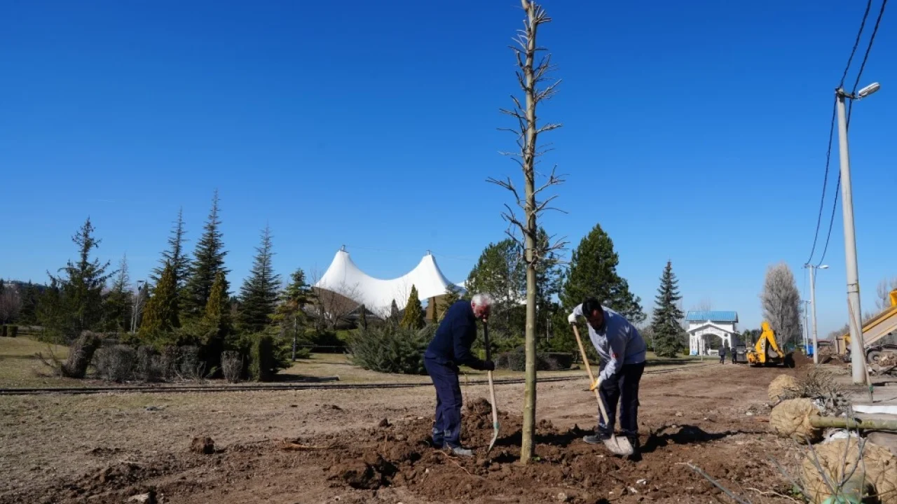 Eskişehir Sazova Parkı’nda kavakların yerini çınarlar alıyor
