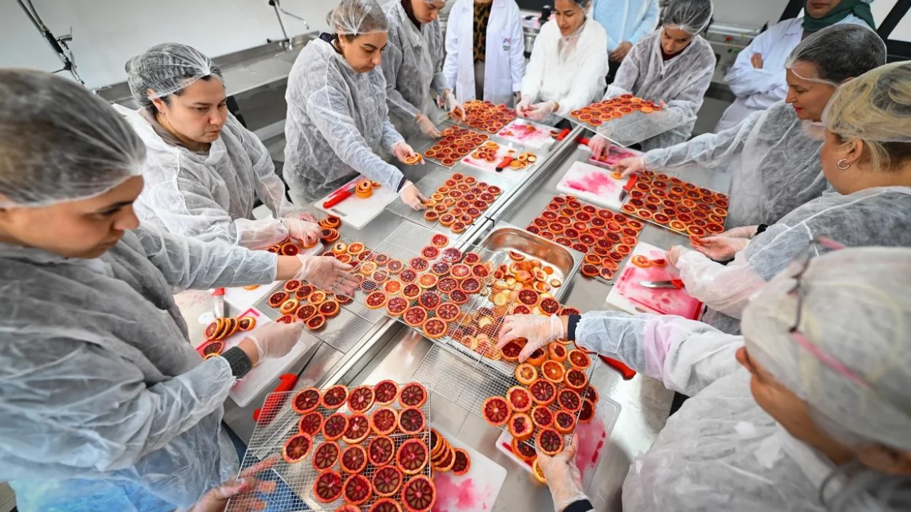 Mersinli kadınlar kan portakalını geleceğe taşıyor