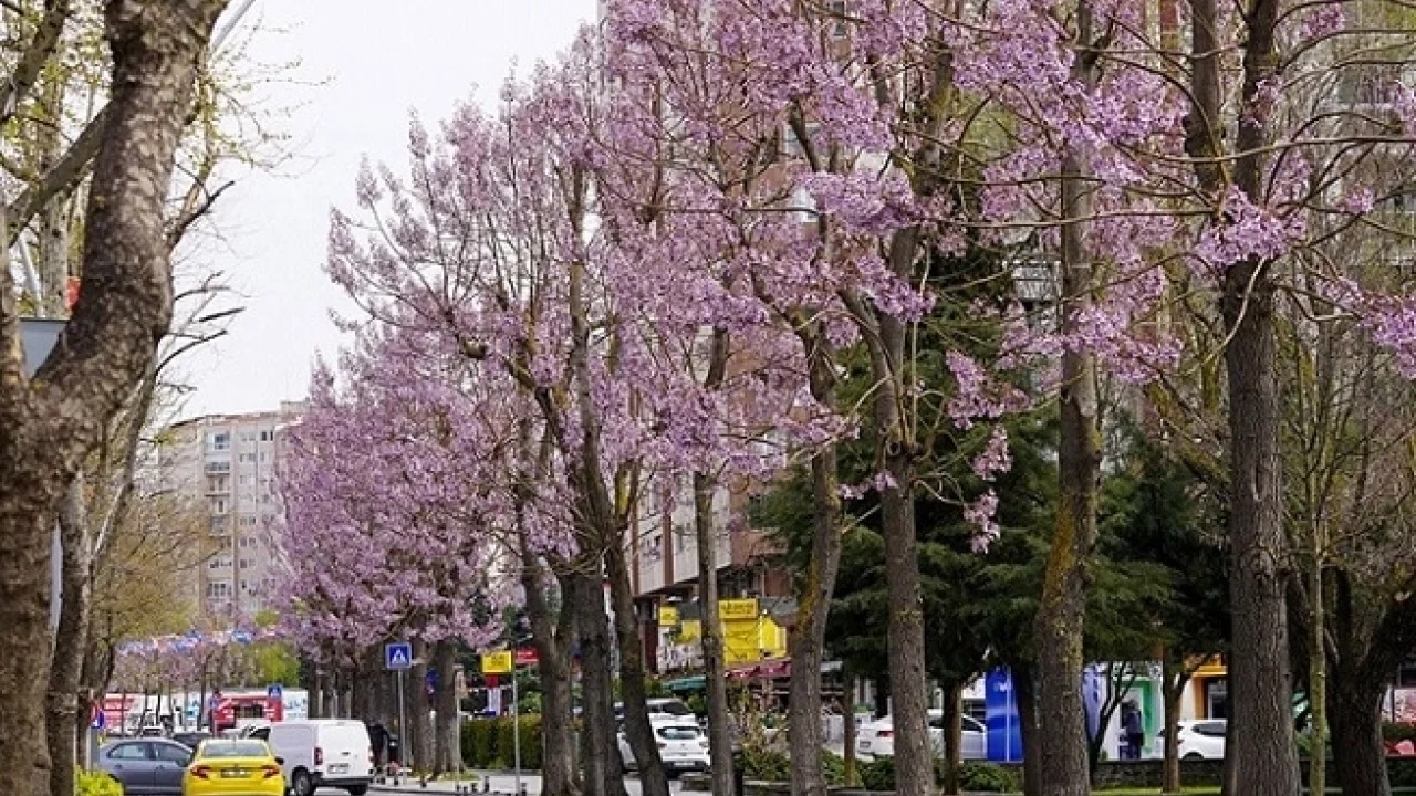 İstanbul Beylikdüzü'nde bakım ve yaz hazırlığı bir arada