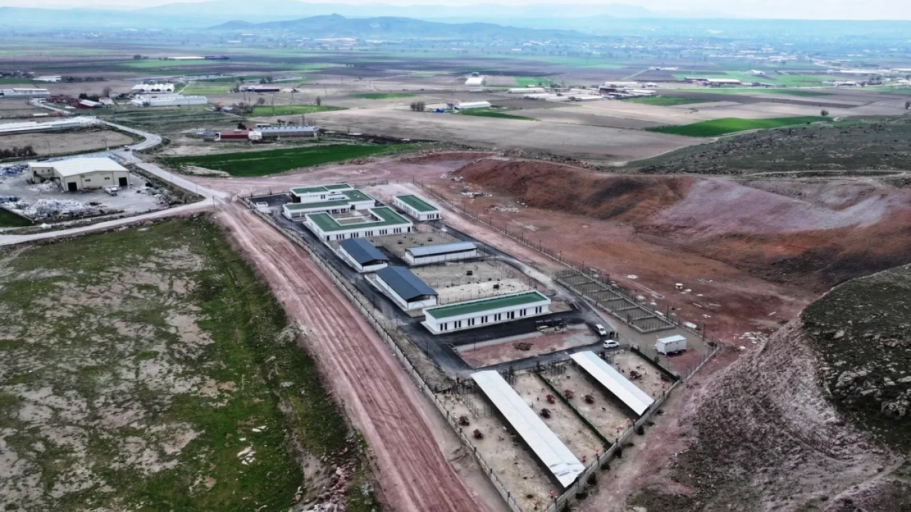Kayseri Kocasinan'dan sokak hayvanlarına özel mekan