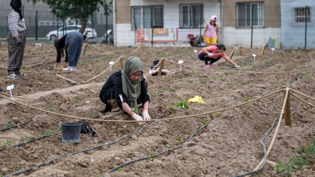 Avrupa’dan Bornova’ya kent bostanı incelemesi