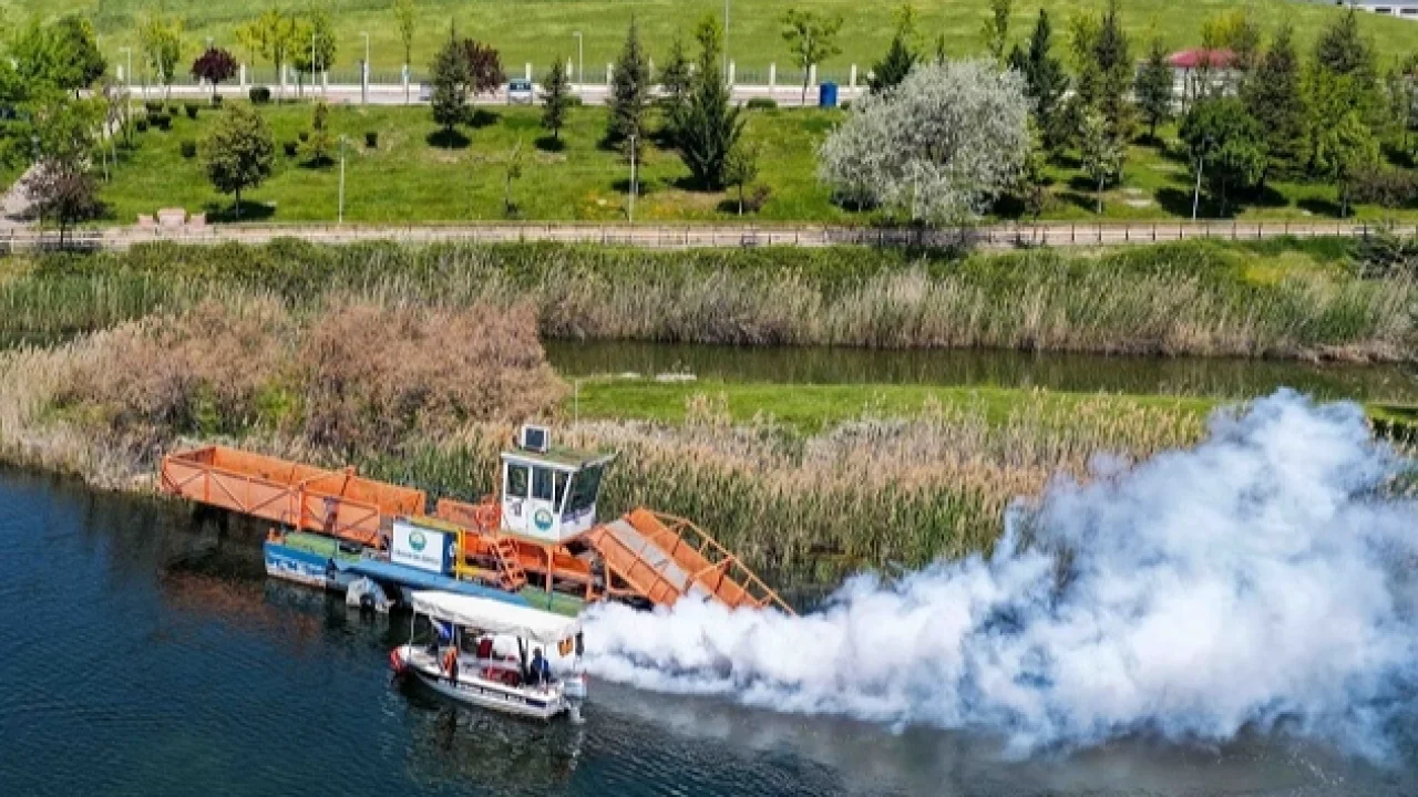 Başkent'te haşerelere geçit yok
