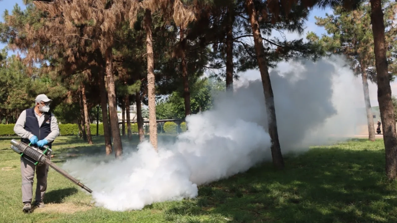 Belediyeden haşereye karşı seferberlik