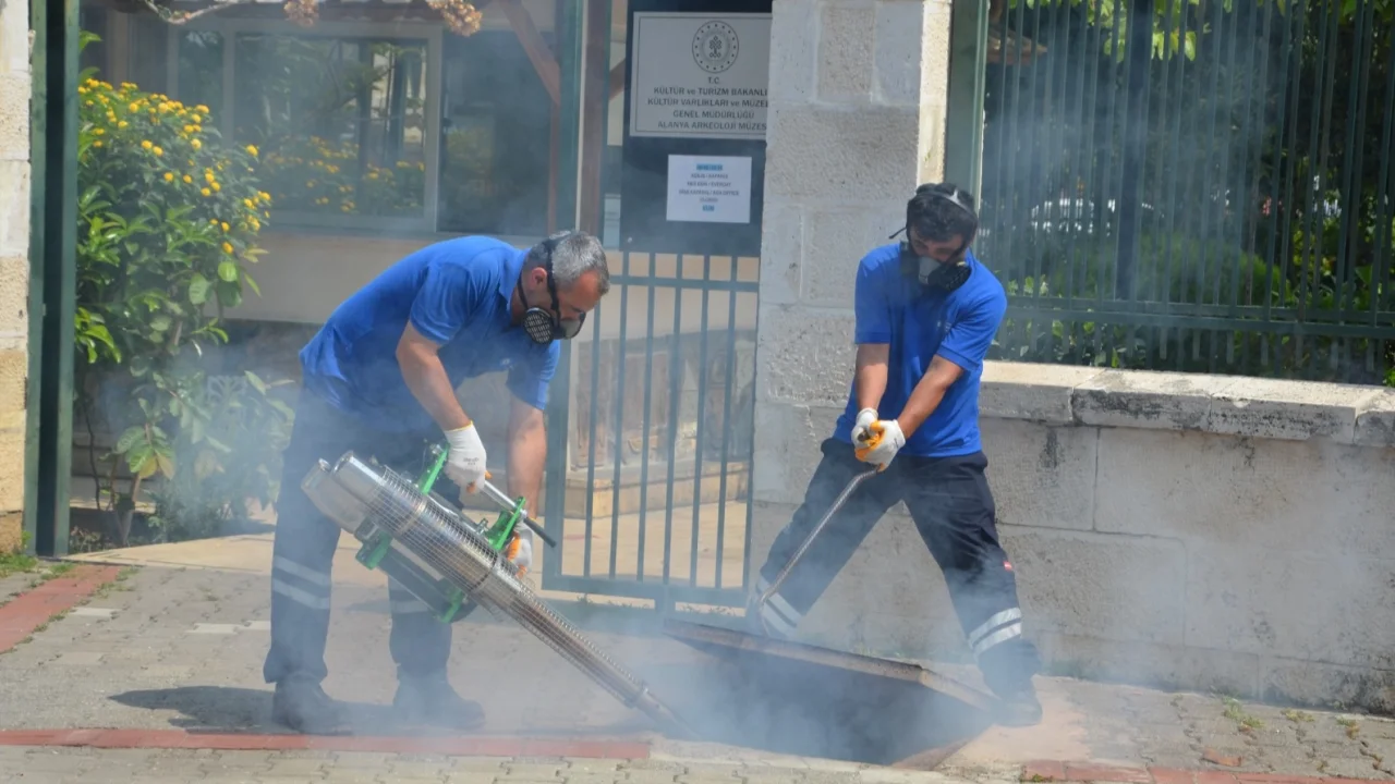 Antalya'da vektörel mücadele 4 koldan yürütülüyor