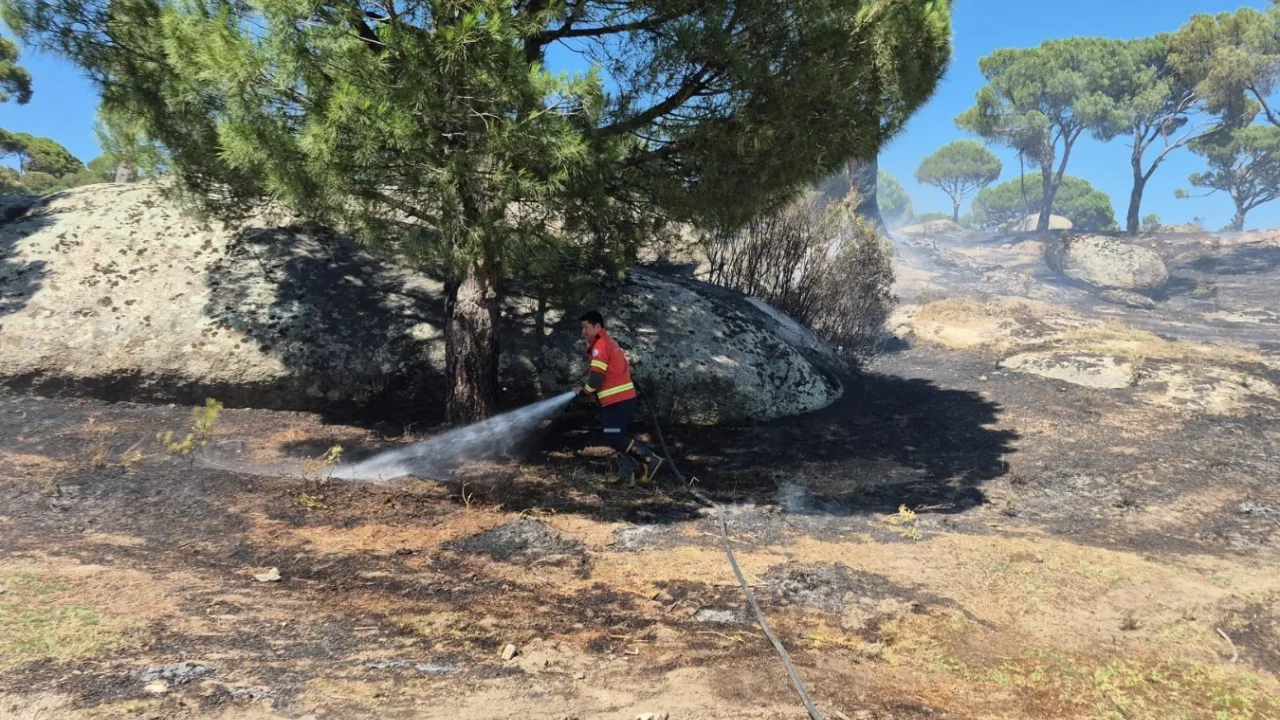 Muğla’da yangınların acı bilançosu! Her 10 yangından 7’si insan kaynaklı