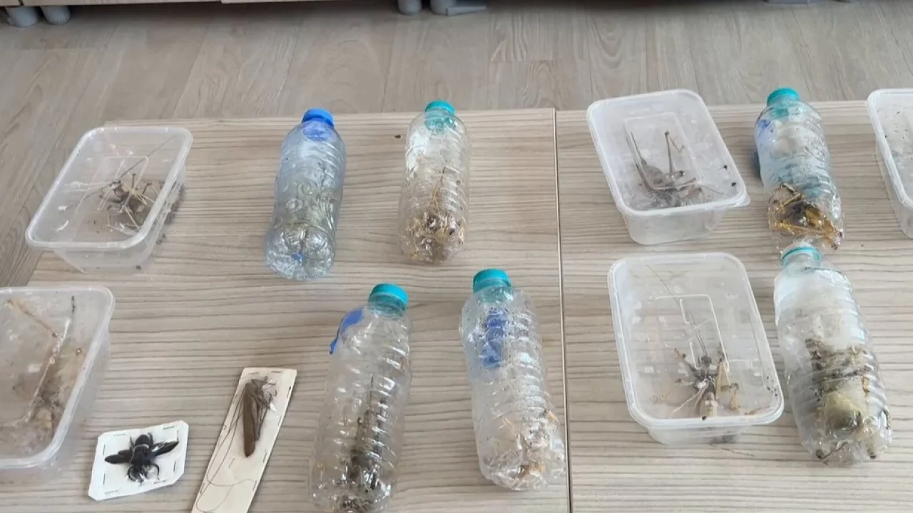 Nemrut’ta biyokaçakçılık operasyonu! 2 kişiye 1,4 milyon TL ceza