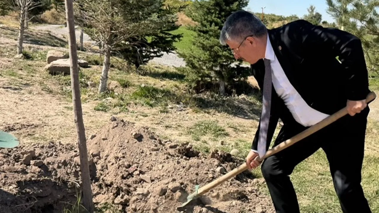 AK Partili Şaban Çopurluoğlu Kayseri Talas'ta fidan dikti