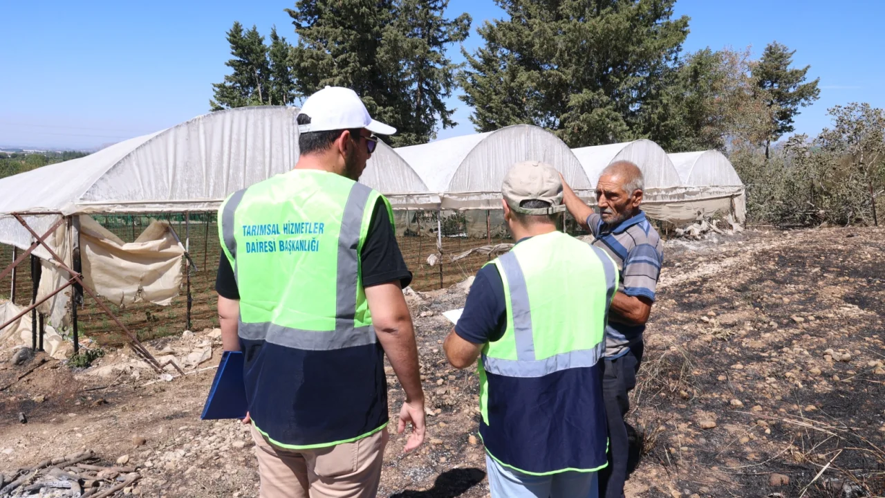 Antalya'da Büyükşehir ekipleri yangının izlerini silmek için sahada