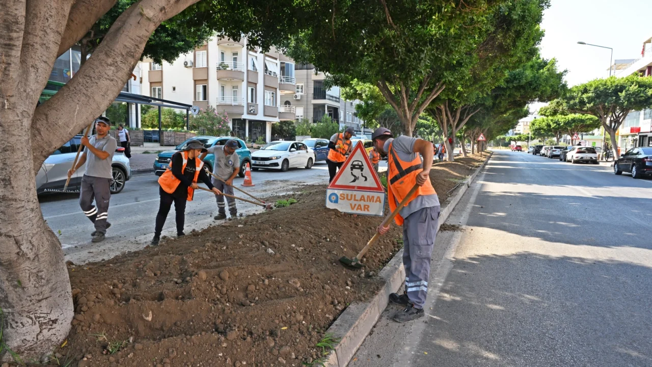 Antalya'da kurakçıl peyzajla yeşil dokunuş