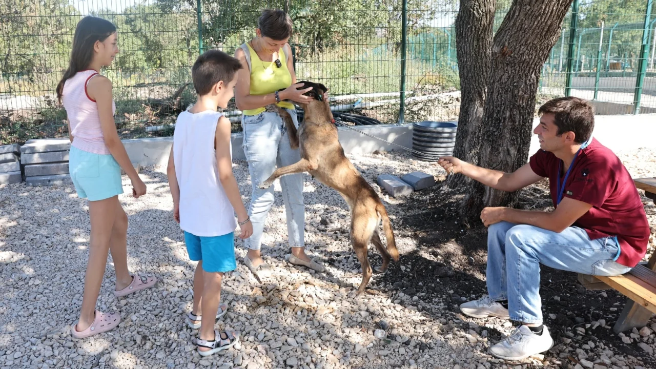 Bursa Nilüfer'de 'Umut' yeni yuvaya kavuştu