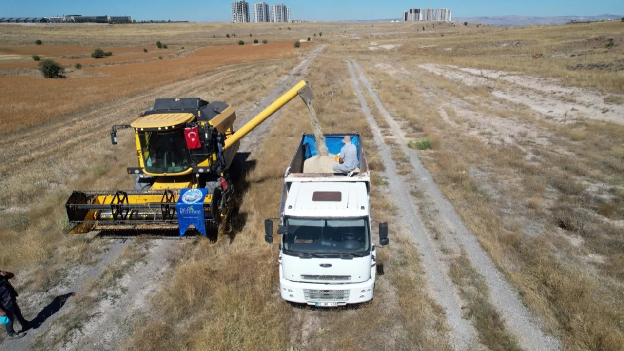 Kayseri Talas'ta tarımda öncü adım
