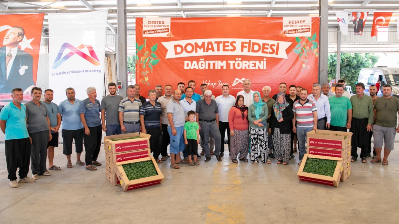 Mersin’de üreticiye domates fidesi desteği