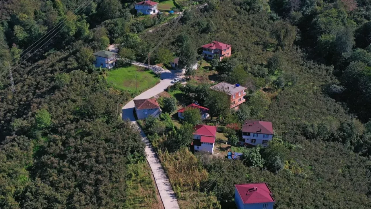 Ordu Çamaş'ta beton yol çalışmaları aralıksız sürüyor