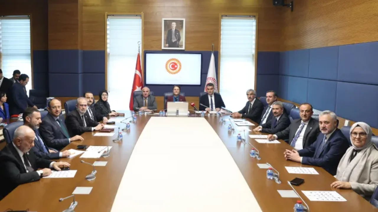 TBMM İnsan Haklarını İnceleme Komisyonu'nda Başkan Vekili seçildi