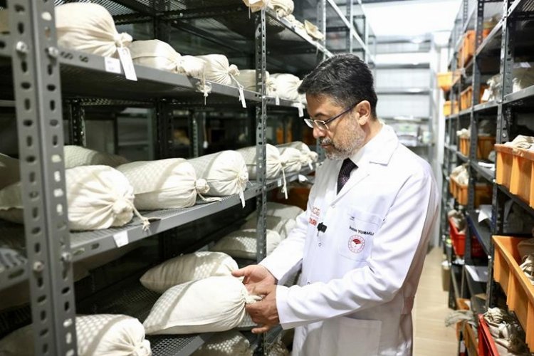 120 bin genetik materyal bankalarda korunuyor