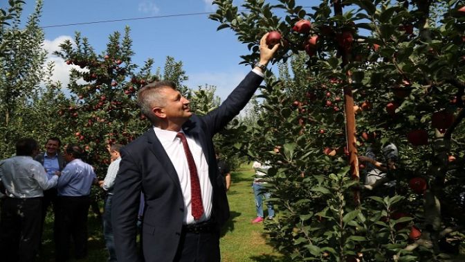 29.Yeşil İhsaniye Elma Festivali Lezzet Dağıtımı İle Başladı