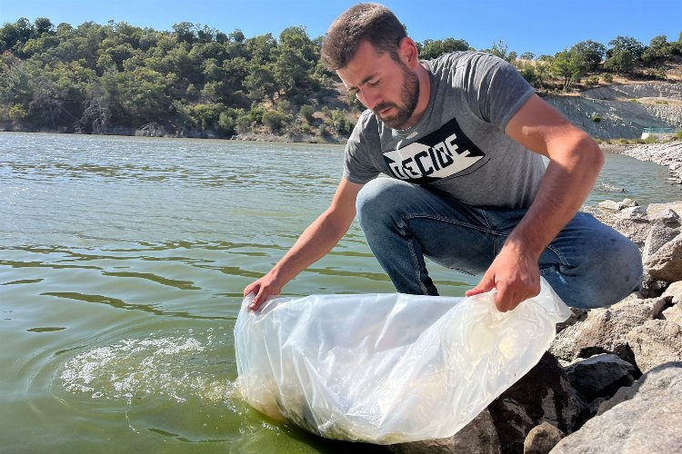 30 bin yavru sazan göletlere salındı -