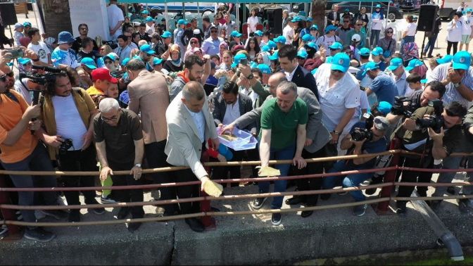 6 bin yavru balık İzmit Körfezine salındı
