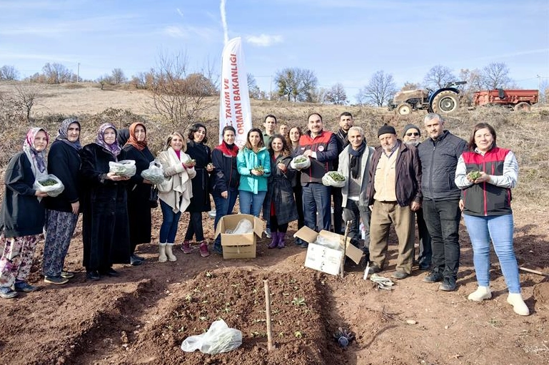 Bursa'da salepe kadın eli değdi -