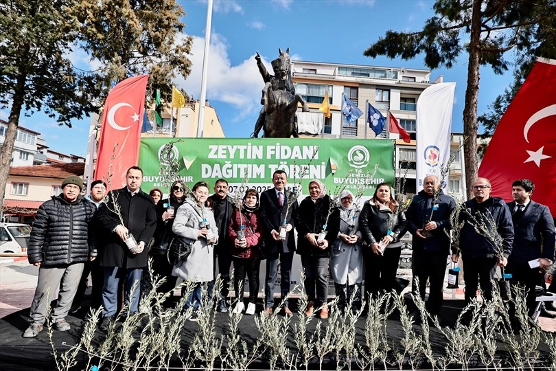 Denizli'de zeytin fidanları toprakla buluşuyor 