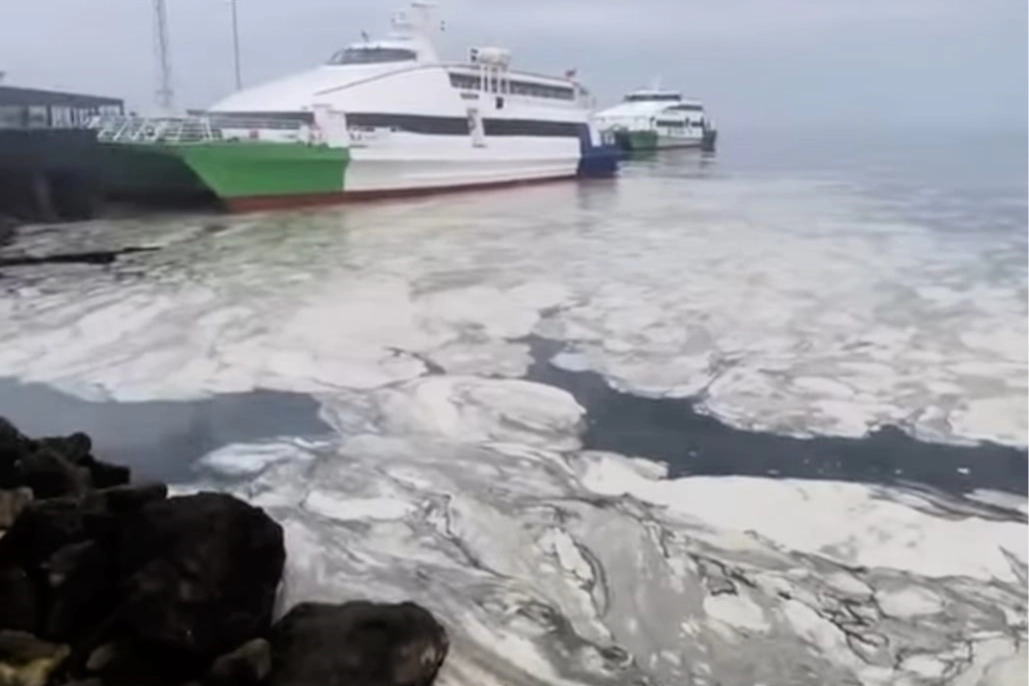 Marmara’nın çığlığına Bursa'dan ses oldular! Başkan Bozbey: Duymazdan gelemeyiz 