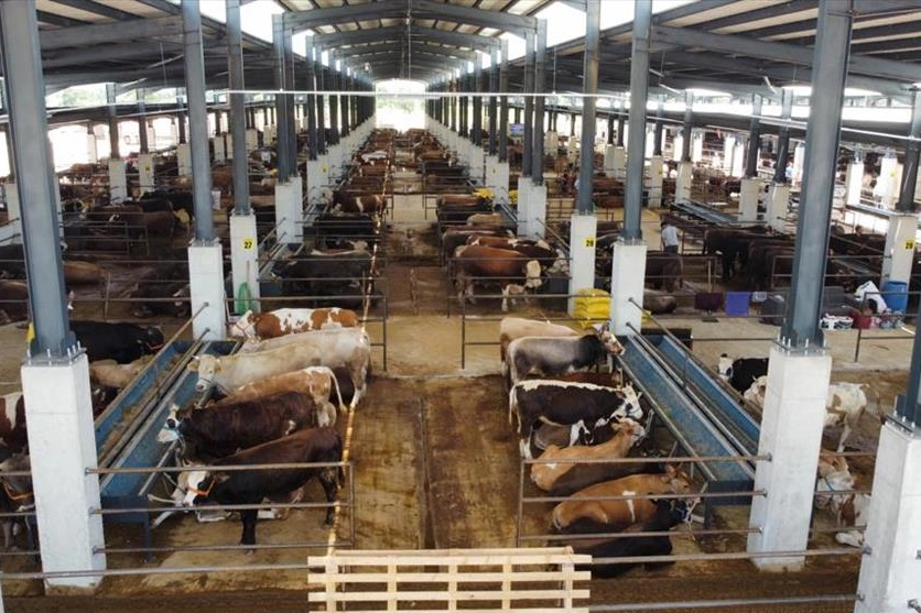 Bursa İnegöl'de hayvan pazarının kotra ihale tarihi netleşti 