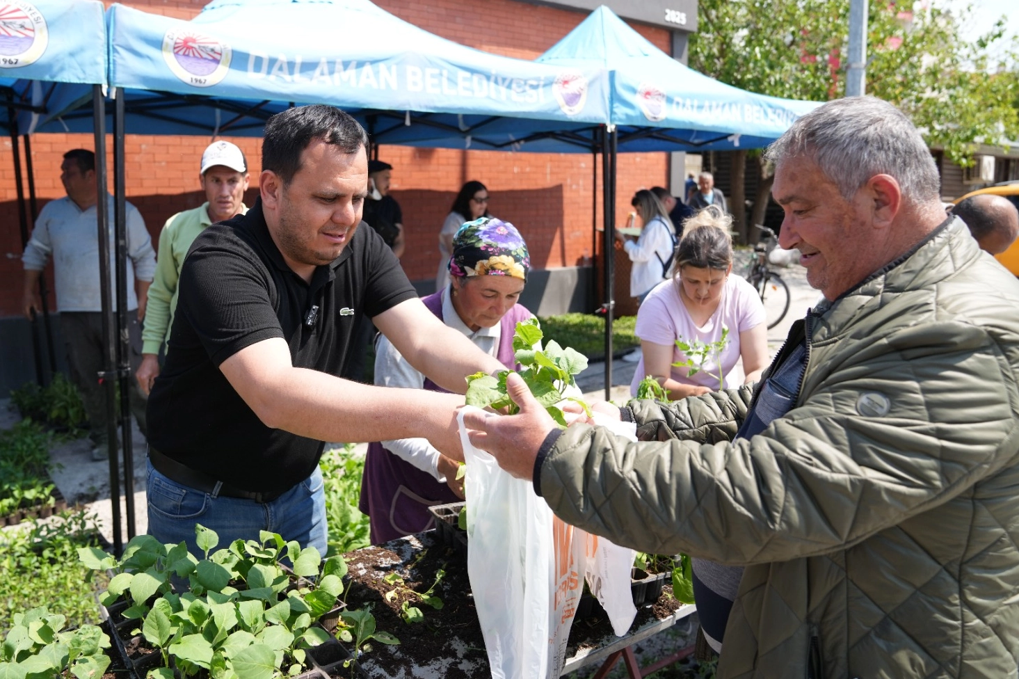 Muğla Dalaman'da üretime destek vatandaşlara nefes 