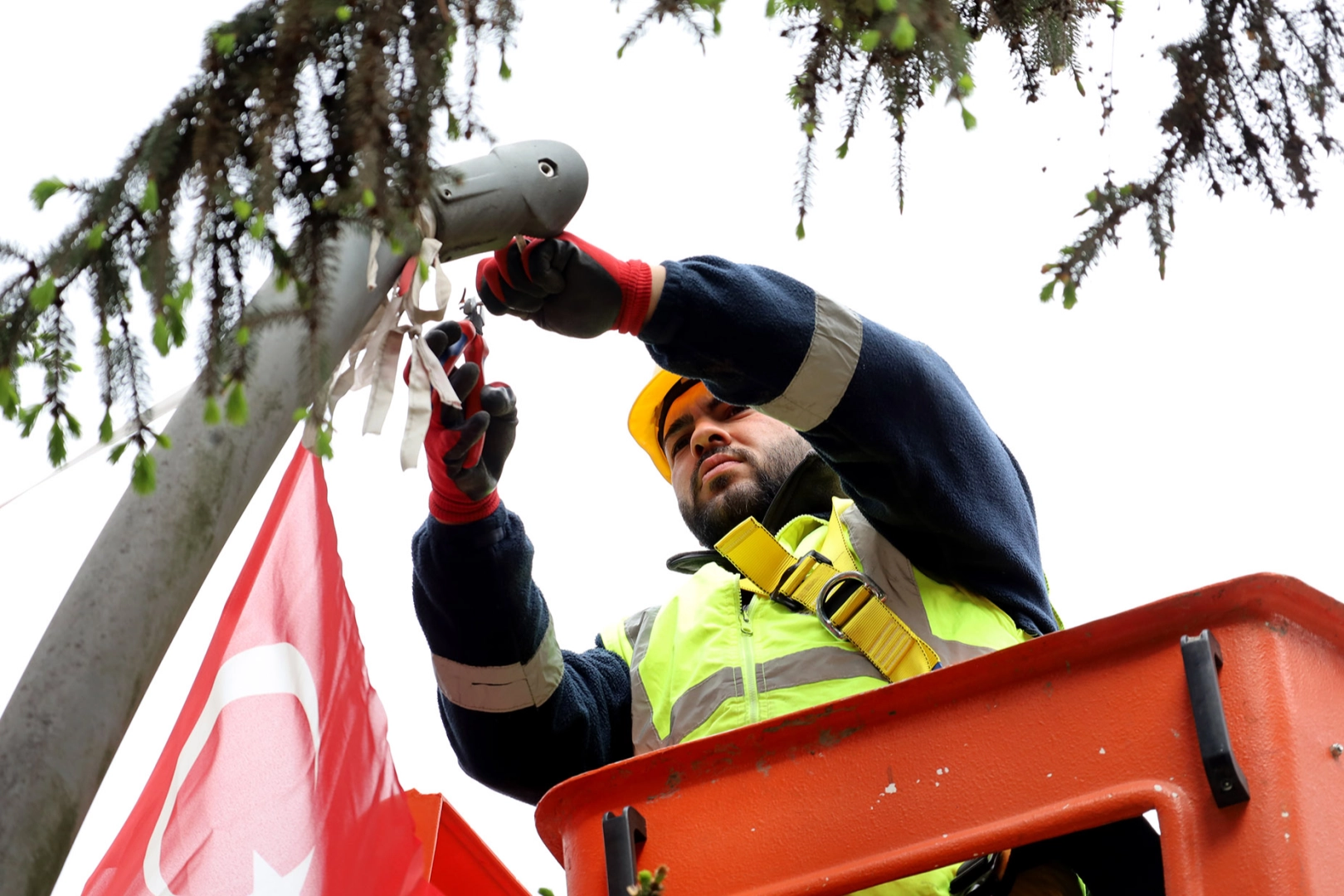Sakarya'dan doğaya duyarlı çalışma 