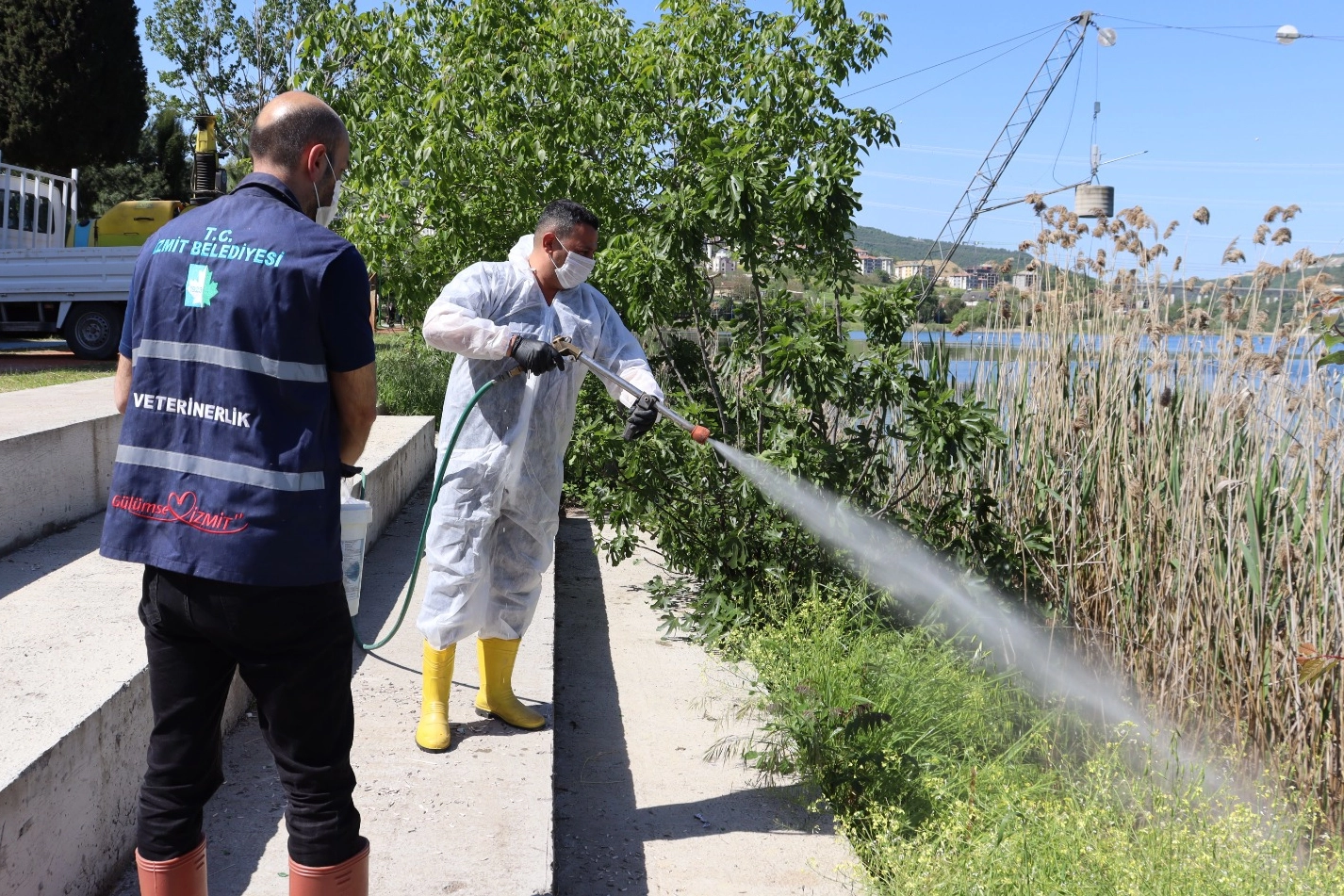 İzmit'te halk sağlığı için yoğun ilaçlama mesaisi 