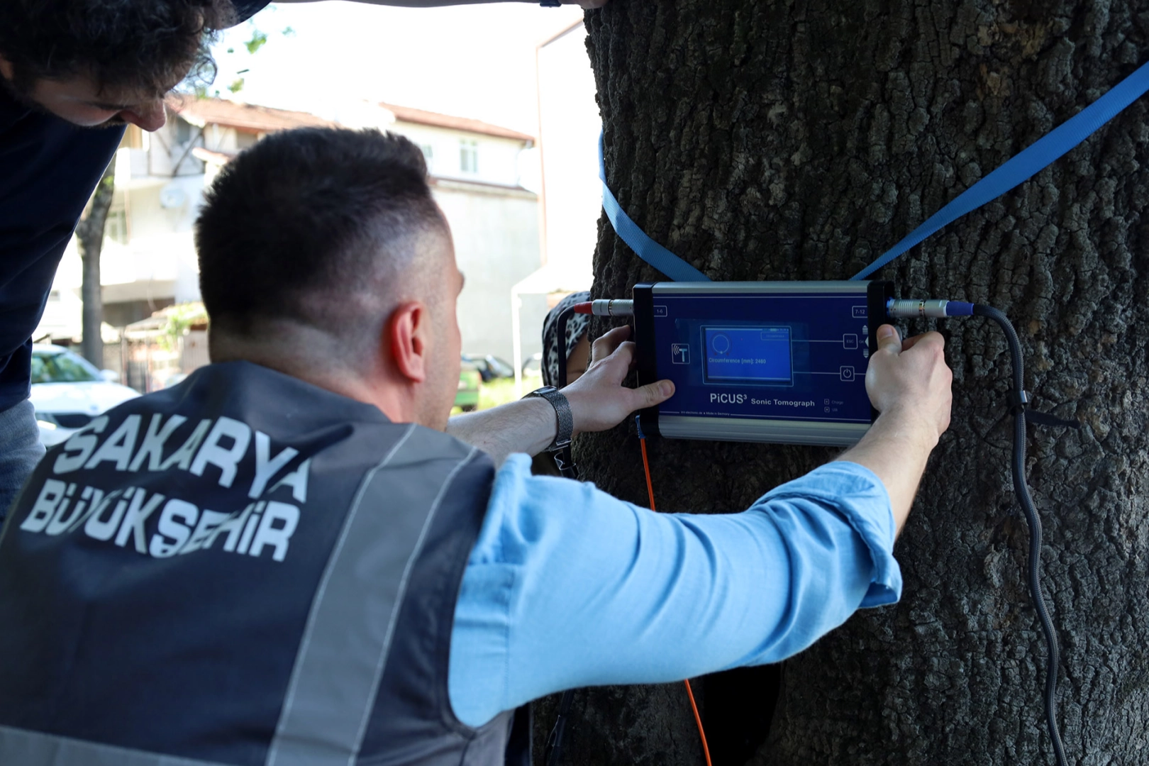 Sakarya'dan doğaya ‘şifa’ gibi adım... Yeşil cennetin tomografisi çekilecek 