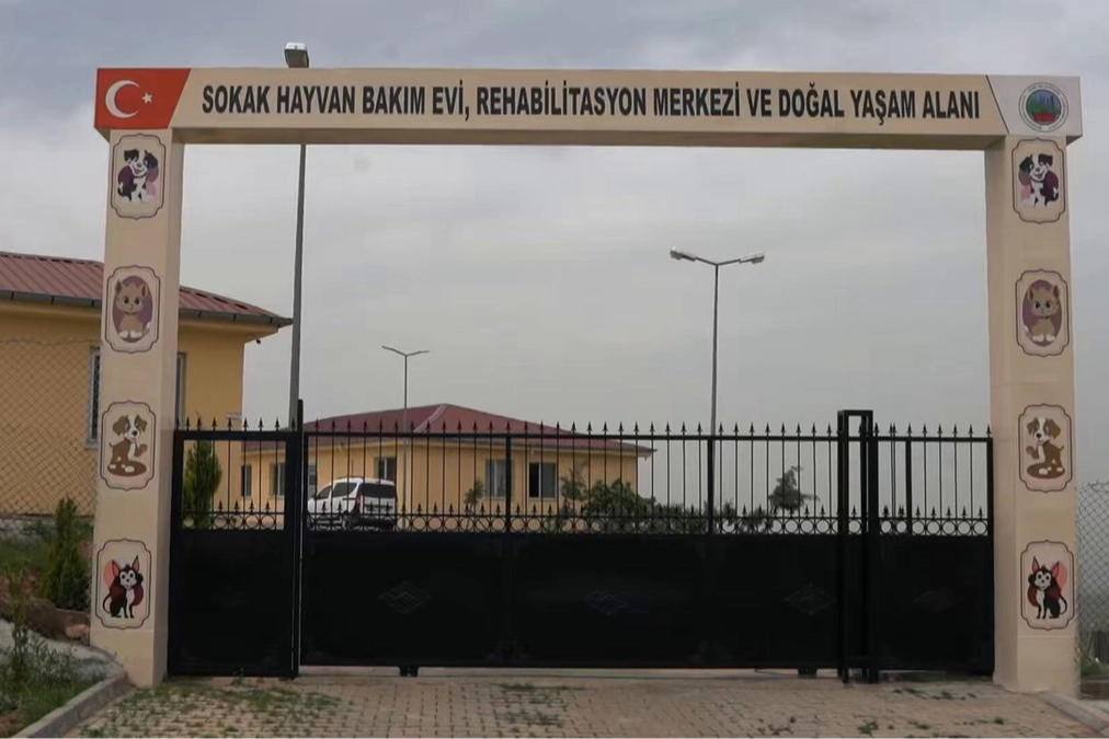 Siirt'te sokak hayvanları için dev proje 