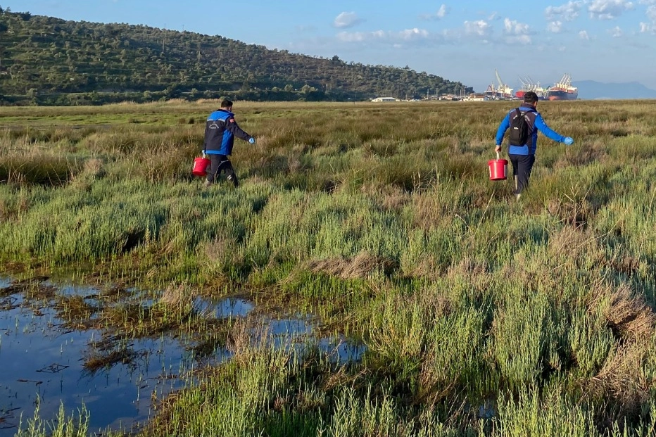Muğla Büyükşehir'den Güllük'te 60 hektarda ilaçlama 