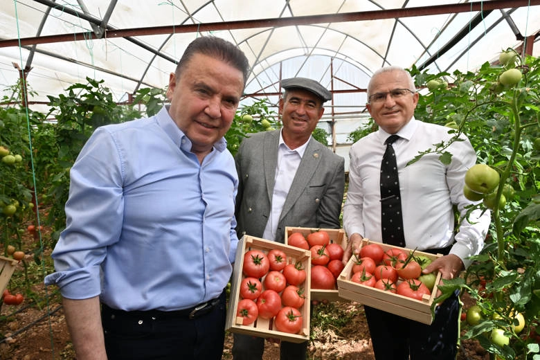 IV. Uluslararası FoodFest Gastronomi Festivali domates hasadı ile başladı 