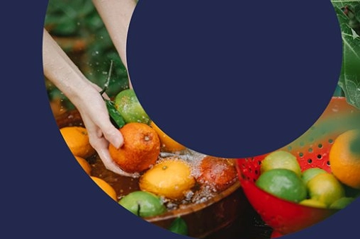 Türkiye’den 'PlantHealth4Life' kampanyasına destek 