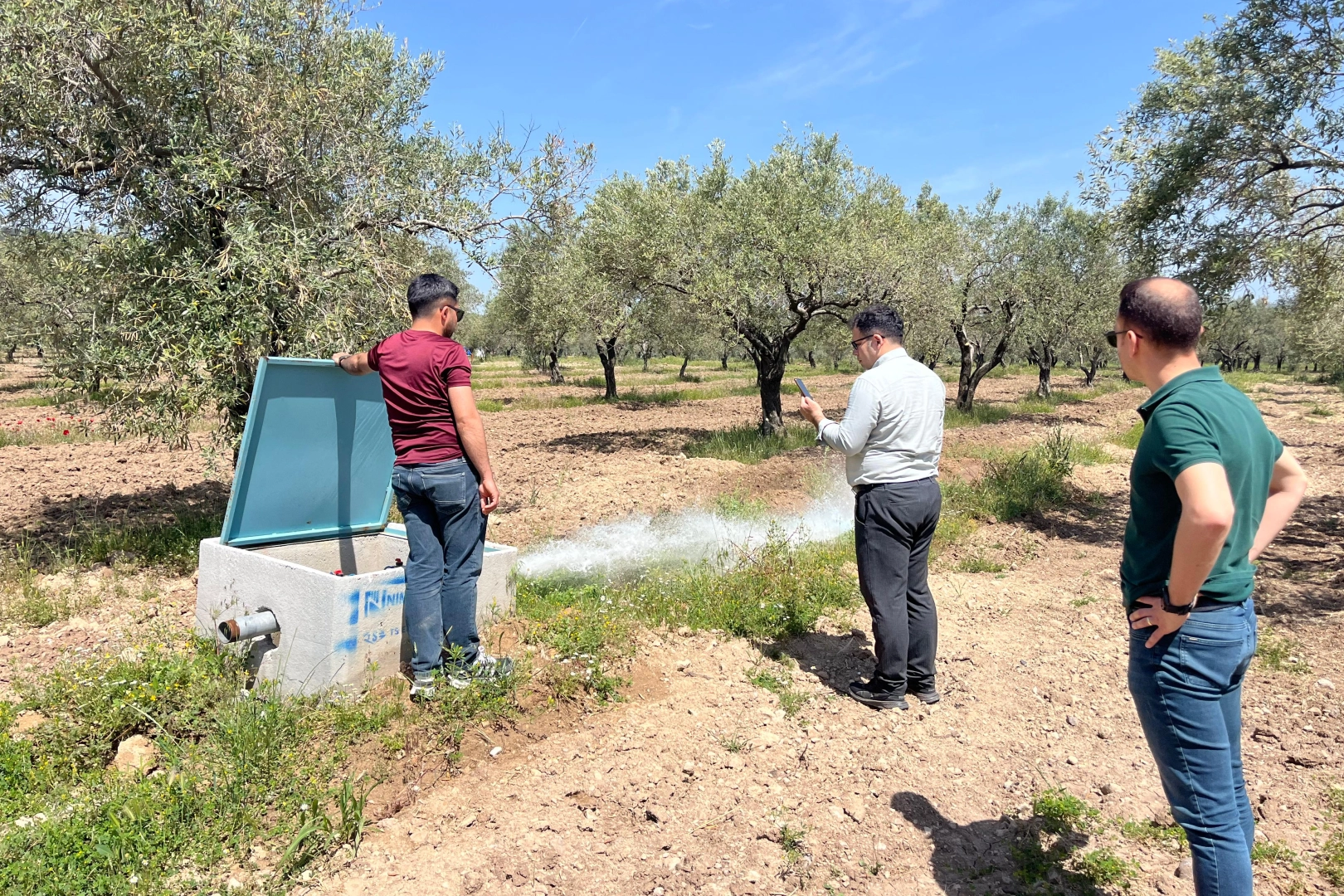 Manisa'da 2 bin 500 dekar arazi Öveçli ile suya kavuşacak 