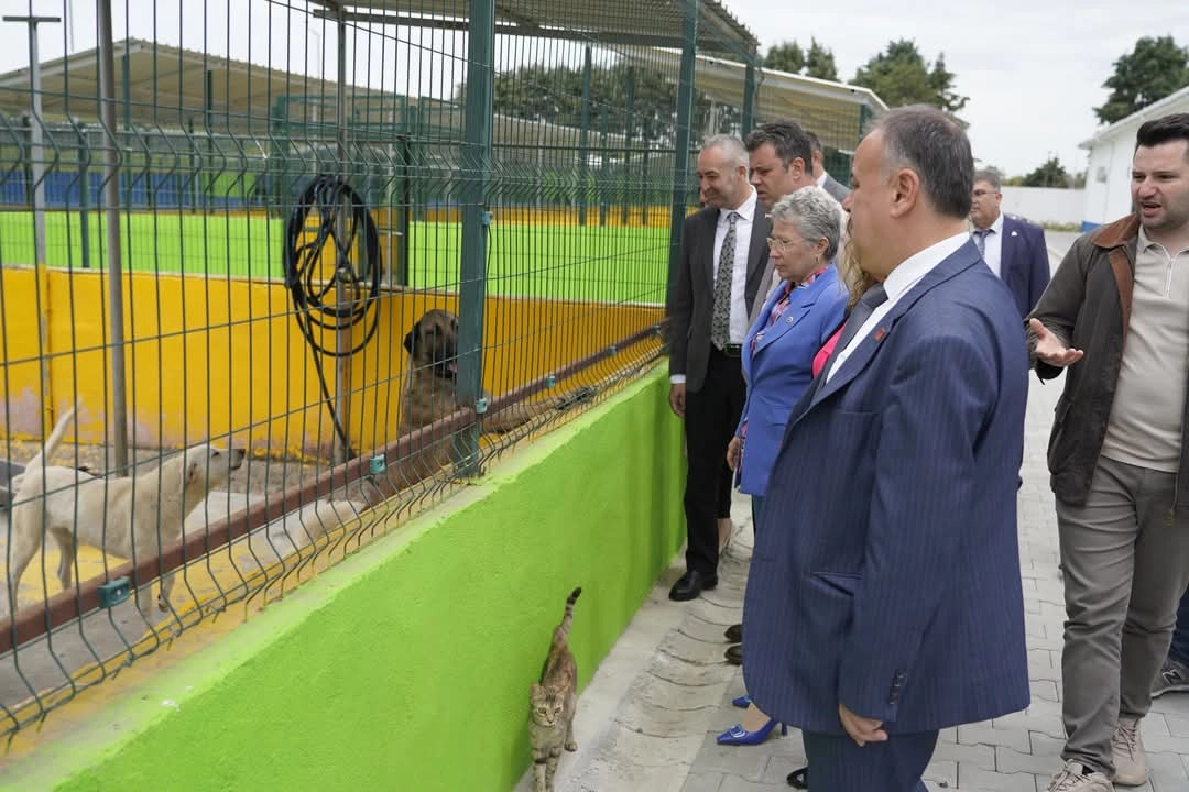 CHP'li Yontar'dan Çorlu'da 'Hayvan Bakım Evi'ne ziyaret 