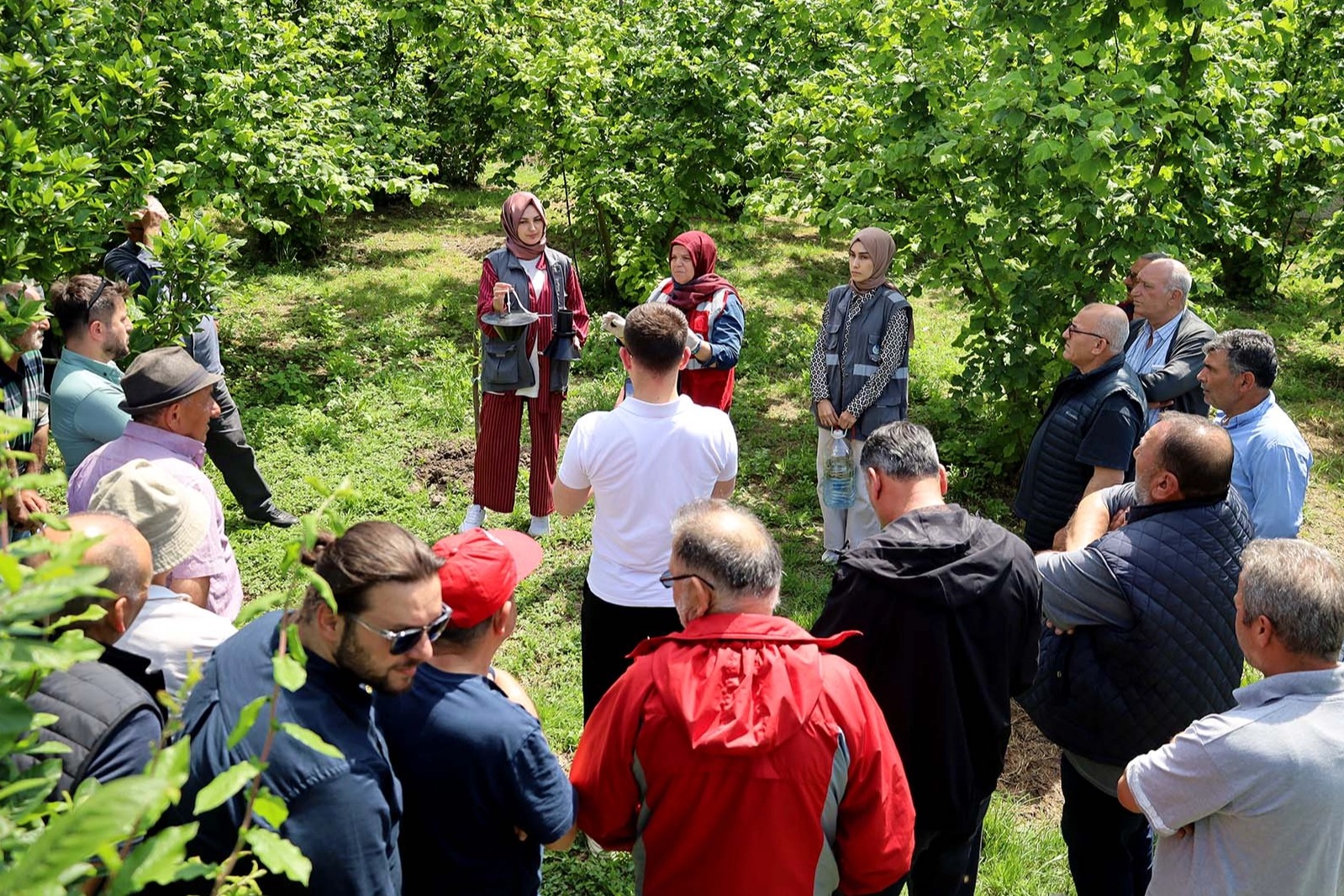 Sakarya'da çiftçilere feromon tuzağı ulaştırıyor 