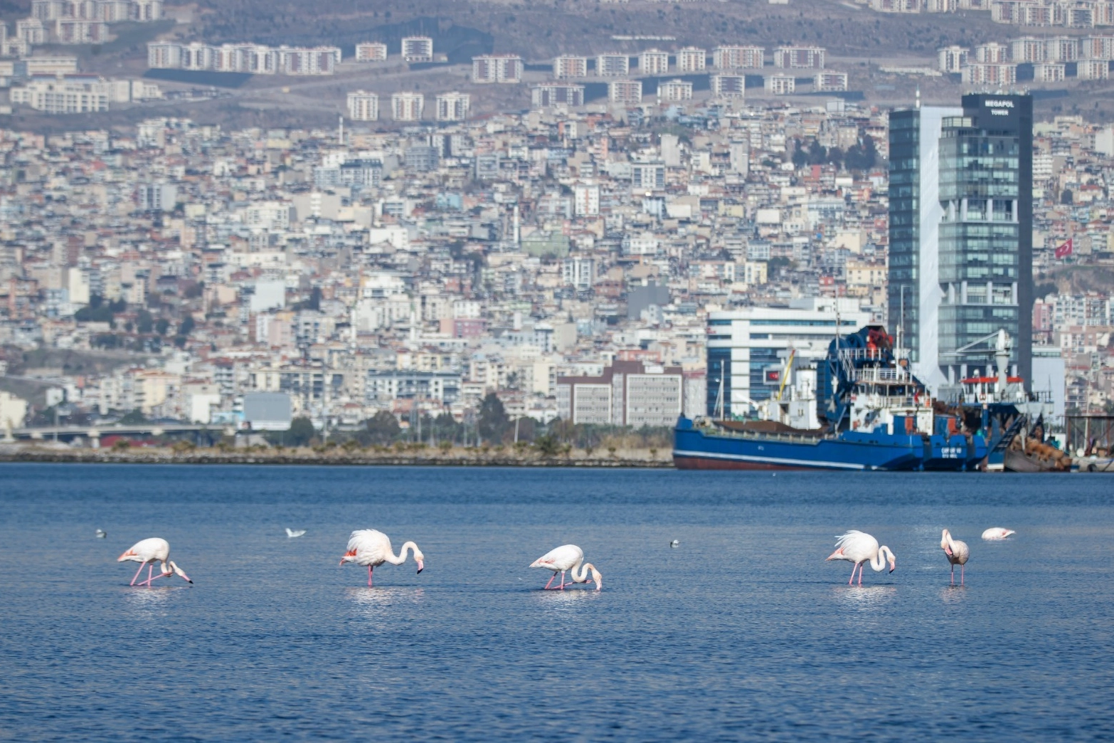 İzmir 'iklim nötr' hedeflerini dünyaya tanıttı 