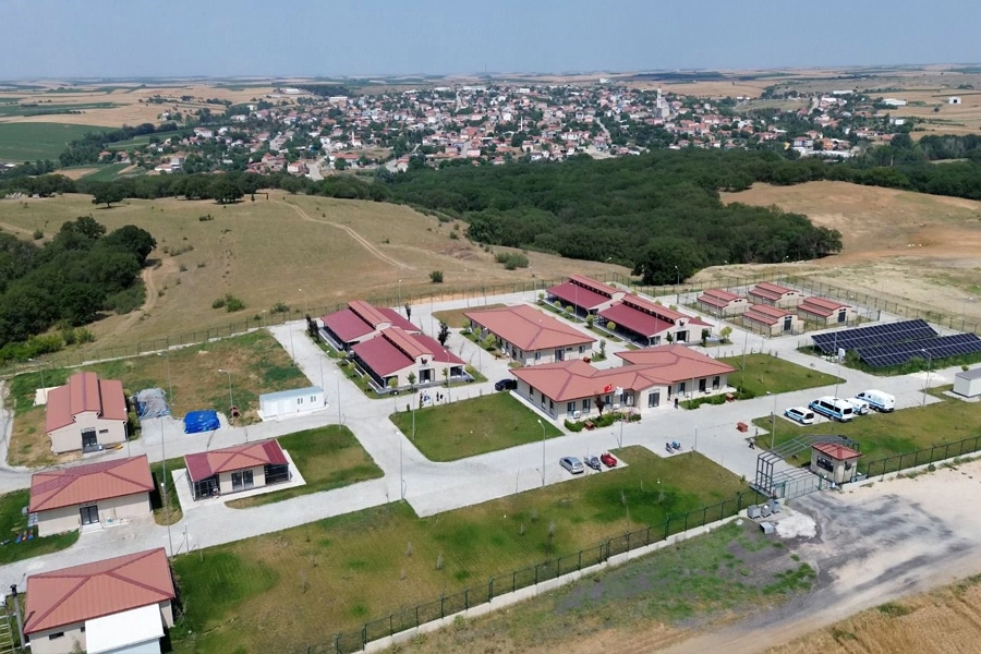 Büyükşehir sahipsiz hayvanlara umut oluyor 