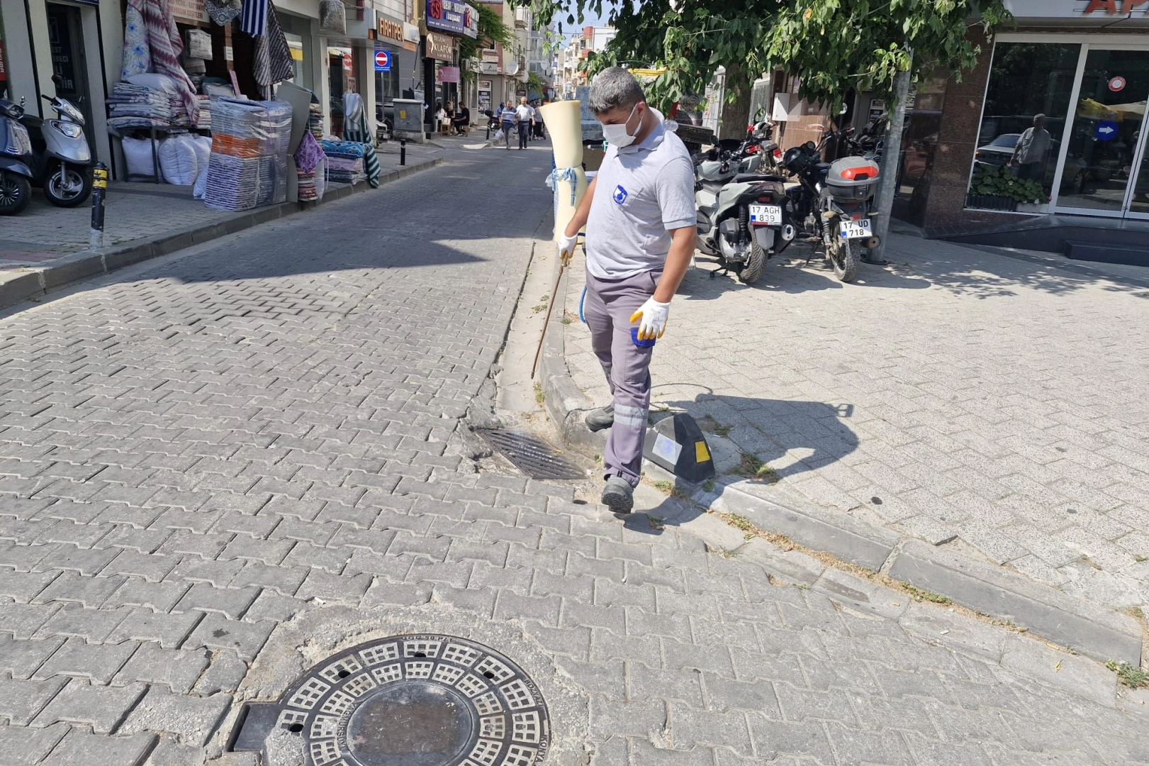 Çanakkale'de sinek alarmı 
