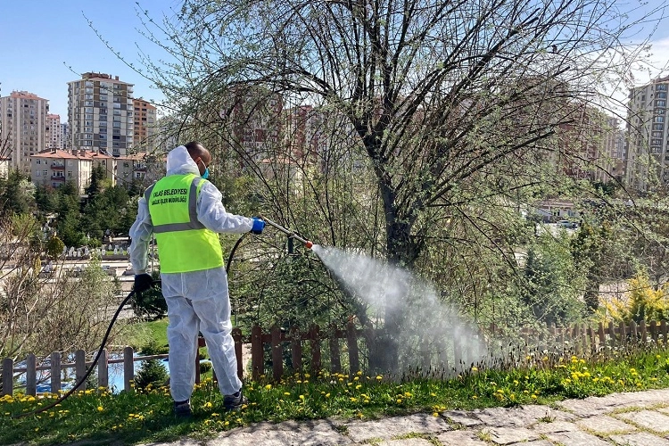 Kayseri Talas'tan haşereyle kesintisiz mücadele 