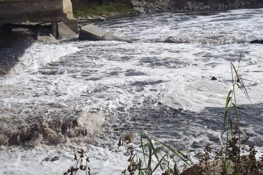Ergene Nehri’ndeki kirlilik çevre felaketine dönüştü 