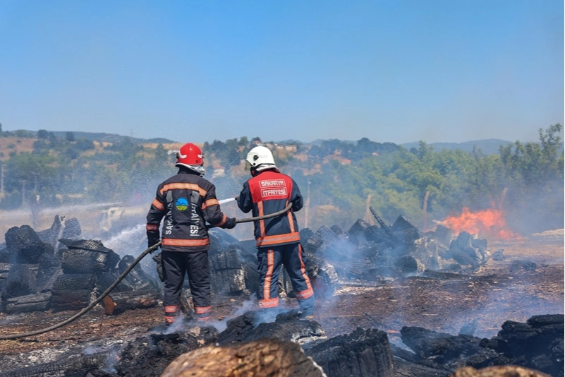Sakarya Söğütlü’deki orman yangını kontrol altına alındı 