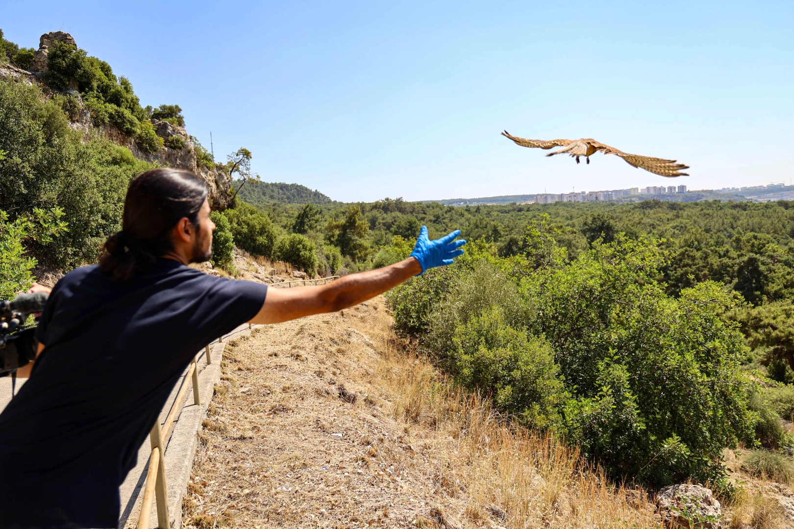 Antalya’da tedavisi tamamlanan kerkenezler doğaya salındı 