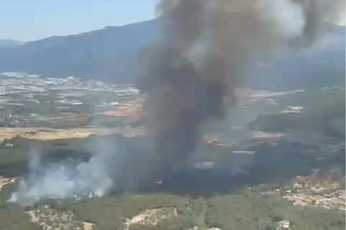 İzmir Bornova Yakaköy'de orman yangınına hızlı müdahale 