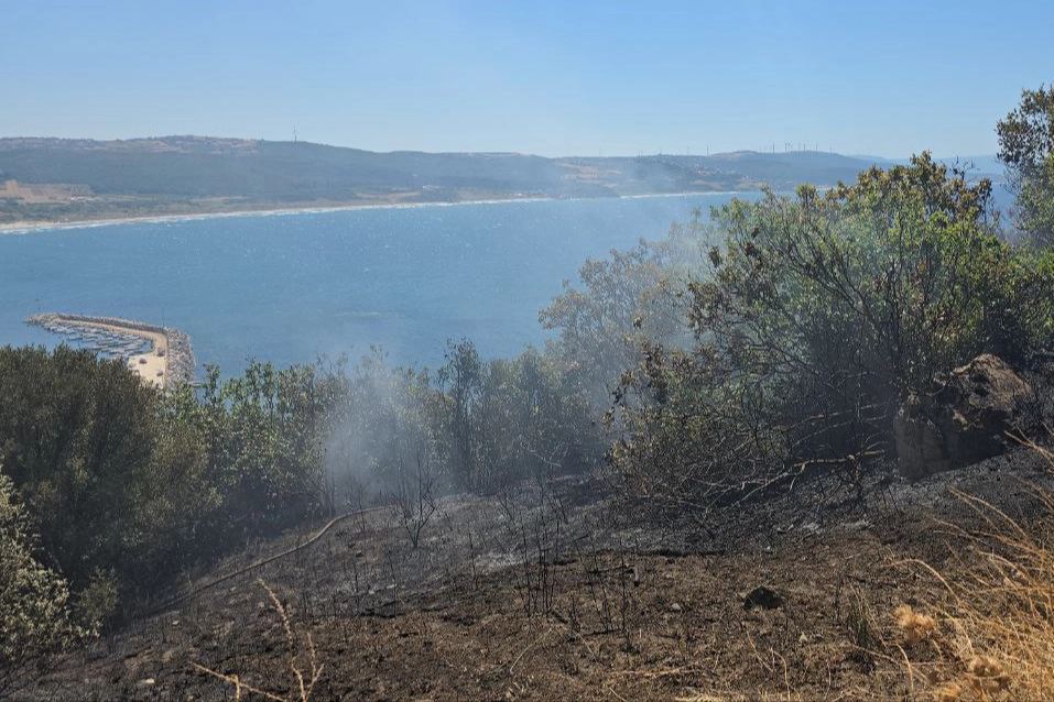 Mudanya kırsalında yangın! Buğday tarlası son anda kurtarıldı 