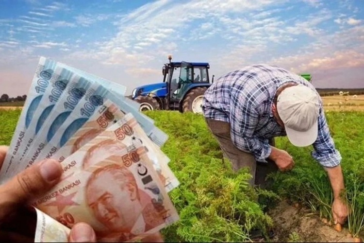 Çiftçilere 865 milyon TL'lik destek ödemesi hesaplarda Çiftçilere 865 milyon TL'lik destek ödemesi hesaplarda