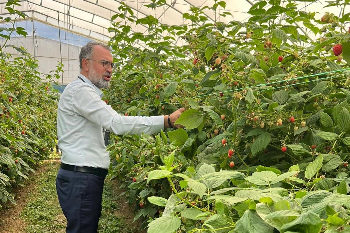Bursa Kestel ve Gürsu’dan Sırbistan’a tarım çıkarması 
